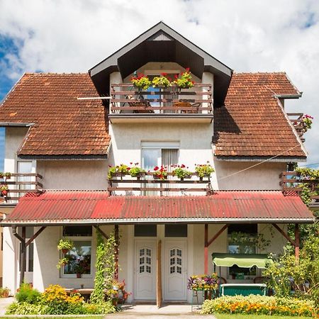 Drina - Bajina Basta Hotel Buitenkant foto