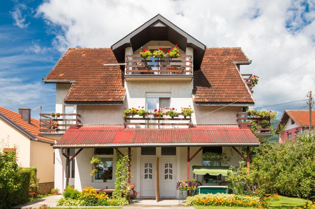 Drina - Bajina Basta Hotel Buitenkant foto