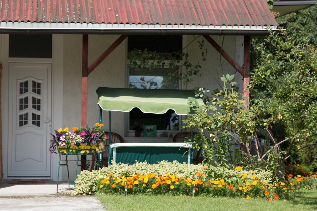 Drina - Bajina Basta Hotel Buitenkant foto