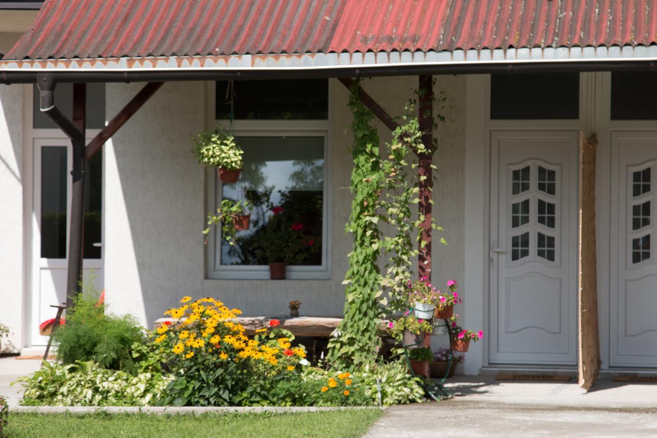 Drina - Bajina Basta Hotel Buitenkant foto